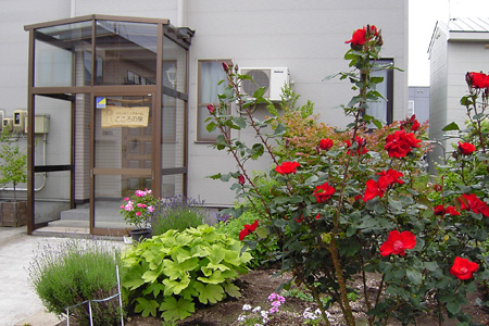 �J�E���Z�����O���[�� ������̐� �O��